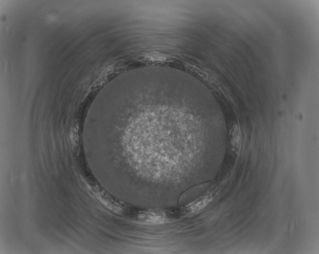 X0000085260559200703091326