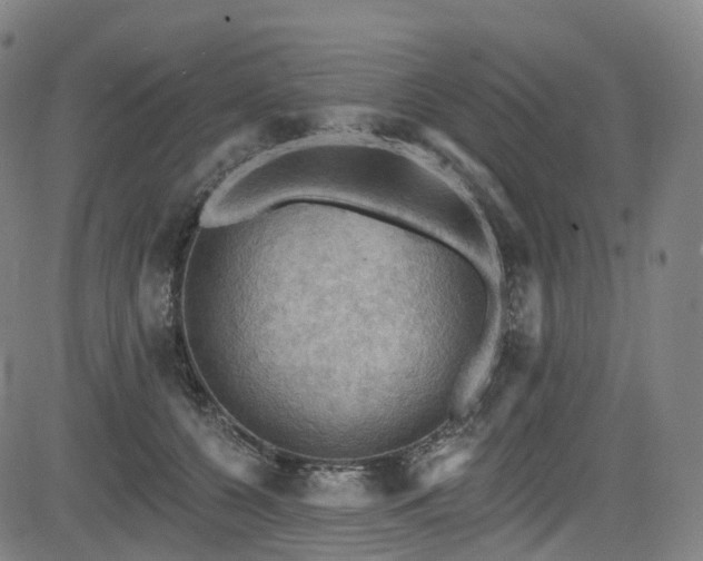 X0000085260560200703091326