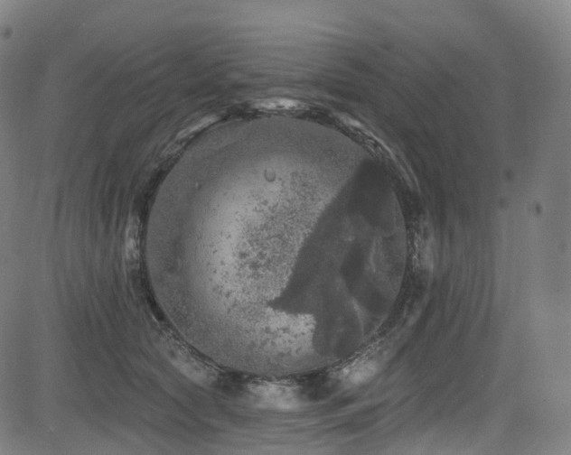 X0000085260561200703091326