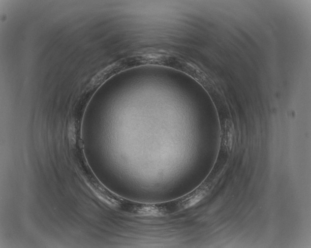 X0000085260562200703091326