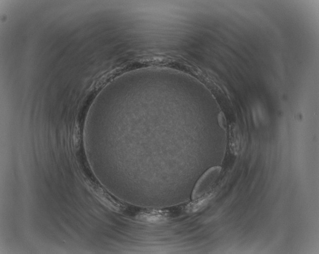 X0000085260563200703091326