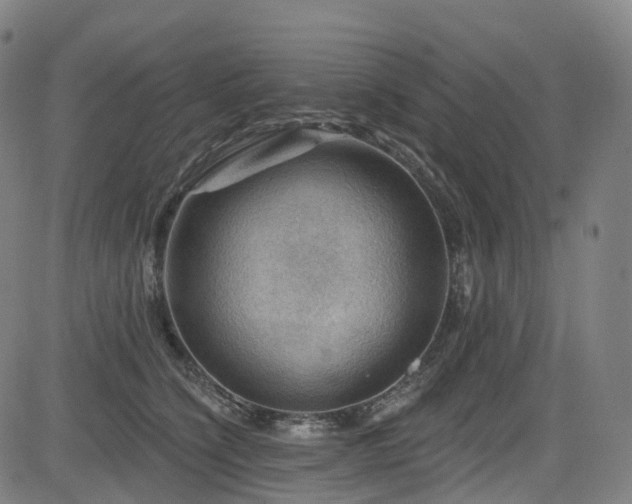 X0000085260564200703091326