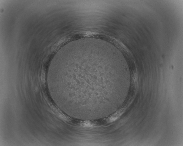 X0000085260565200703091326