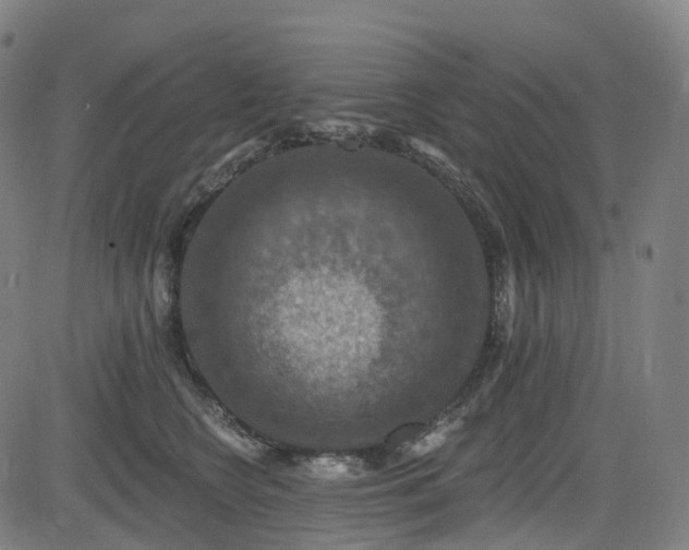 X0000085260566200703091326