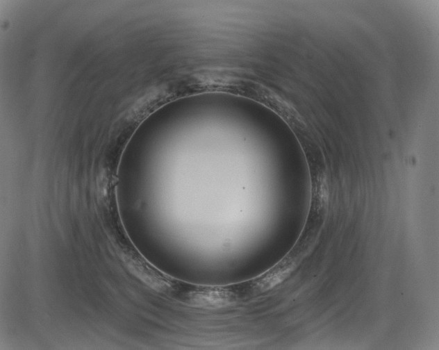 X0000085260567200703091327