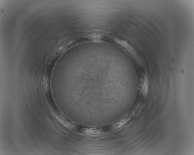 X0000085260568200703091327