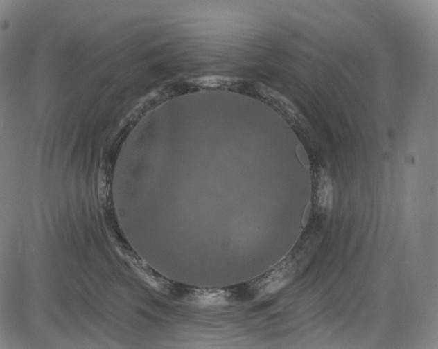 X0000085260569200703091327