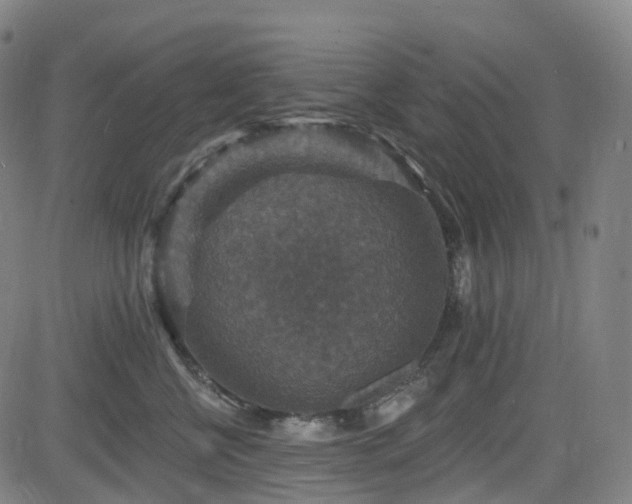 X0000085260570200703091327