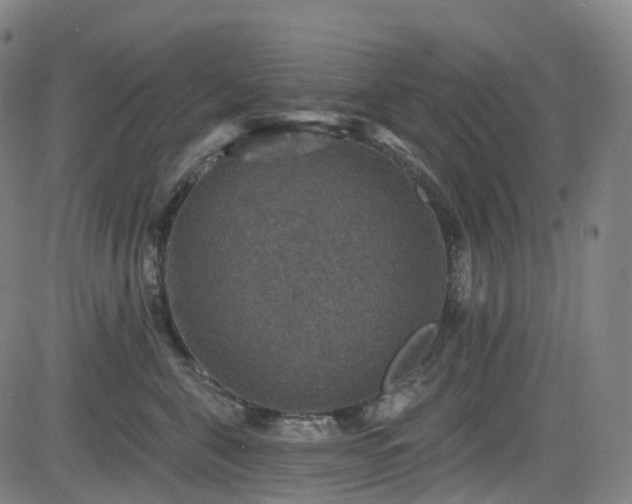 X0000085260571200703091327