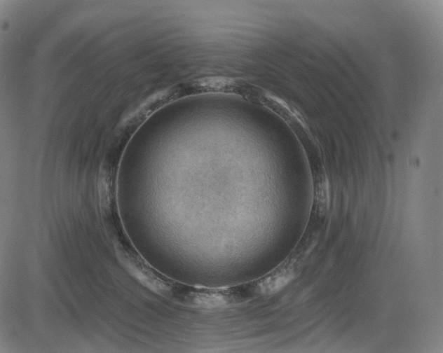 X0000085260572200703091327