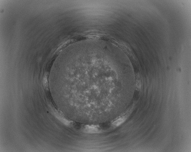 X0000085260573200703091327