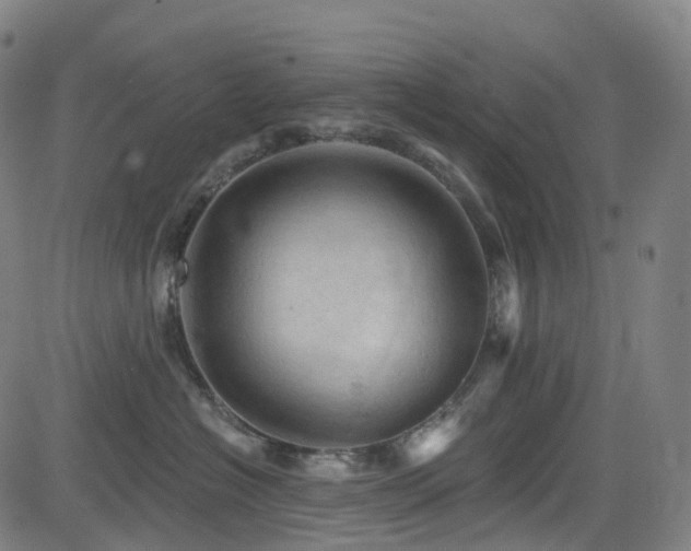 X0000085260574200703091327