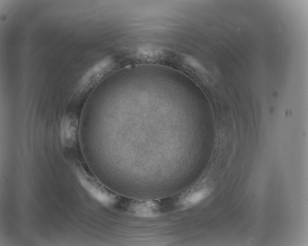 X0000085260576200703091327