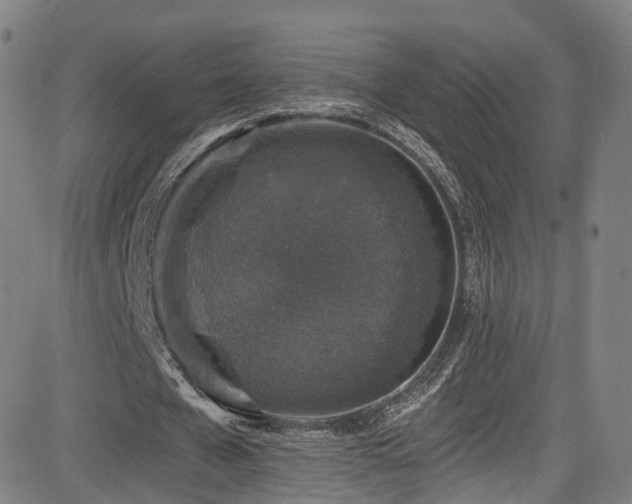 X0000085260577200703091326