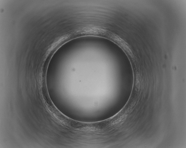 X0000085260578200703091326