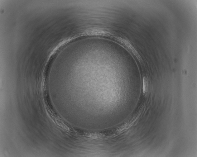 X0000085260579200703091326