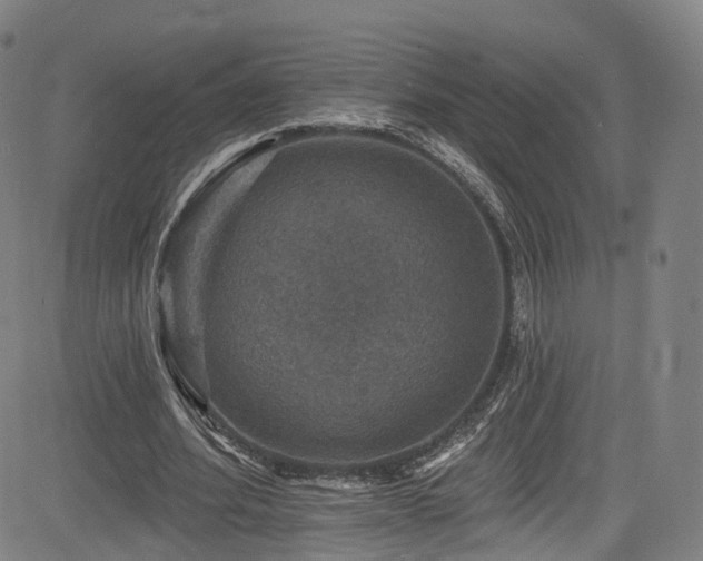 X0000085260580200703091326