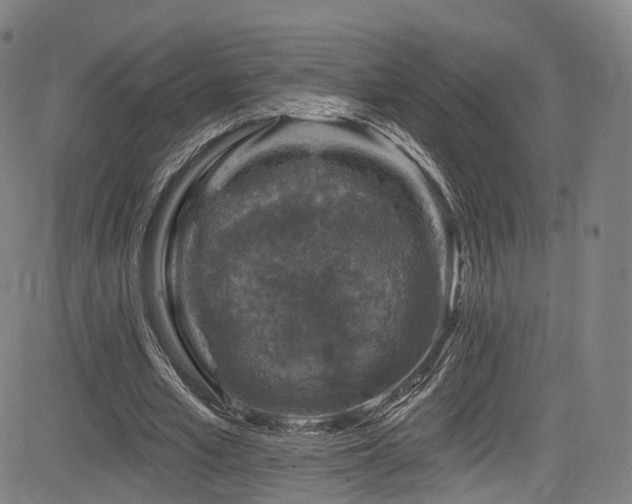 X0000085260581200703091326