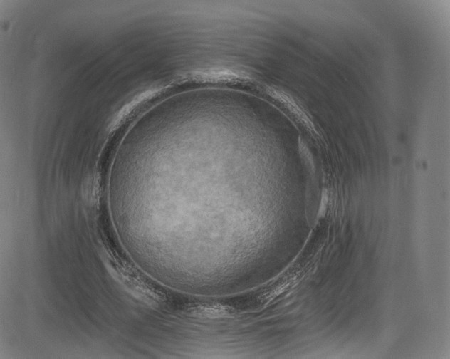 X0000085260583200703091326