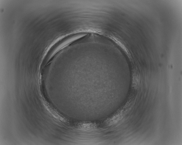 X0000085260584200703091326