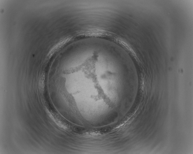 X0000085260586200703091326