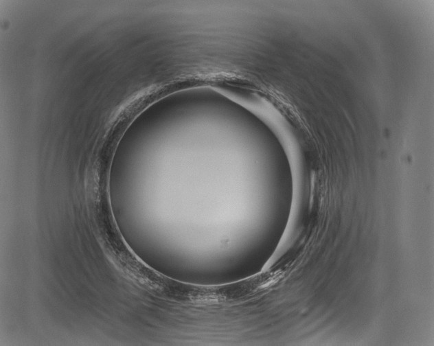 X0000085260587200703091326