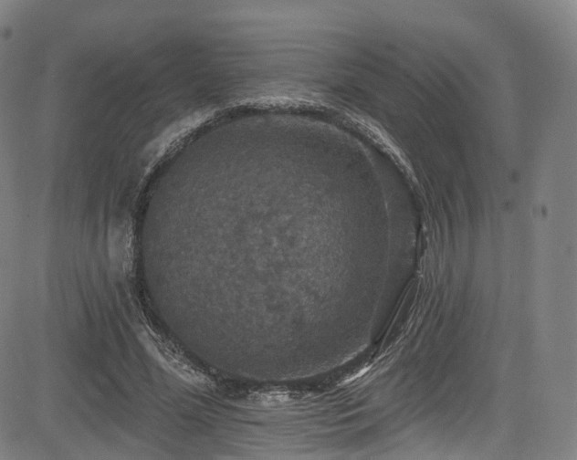 X0000085260588200703091326