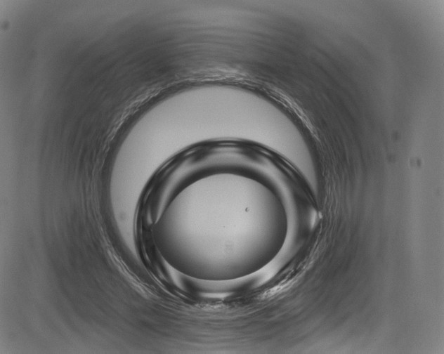 X0000085260589200703091326