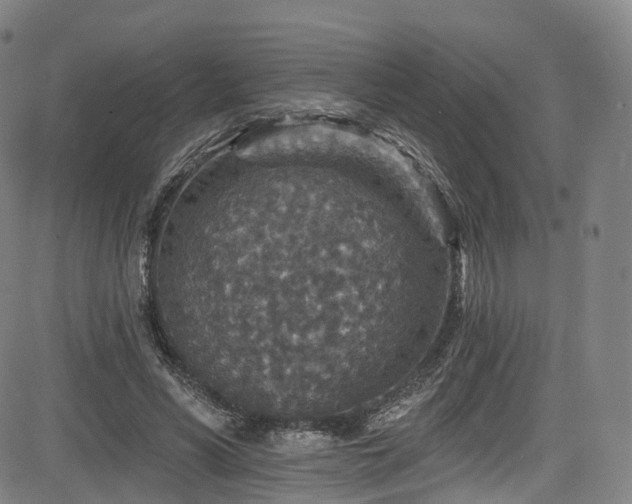 X0000085260590200703091326