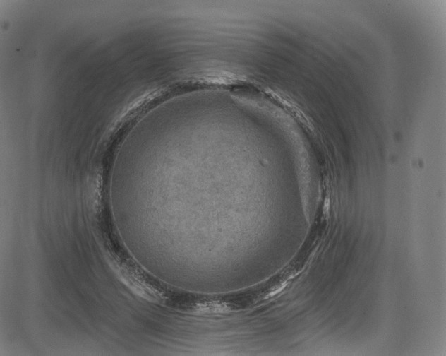 X0000085260591200703091326