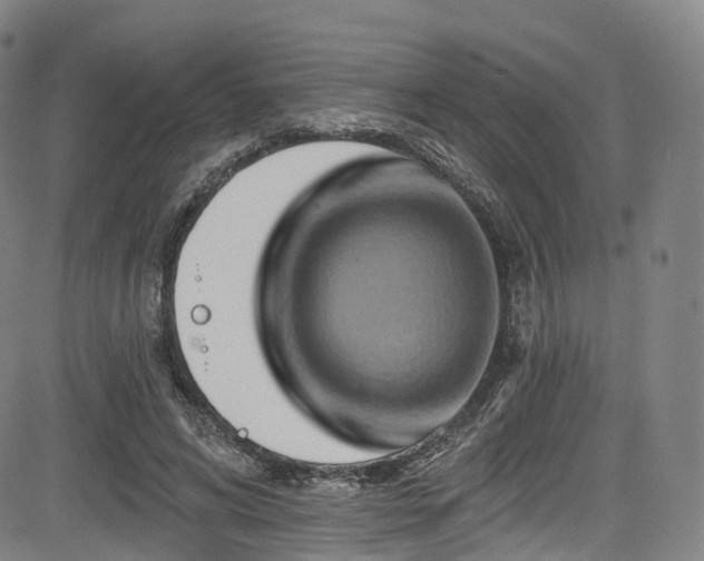 X0000085260592200703091326