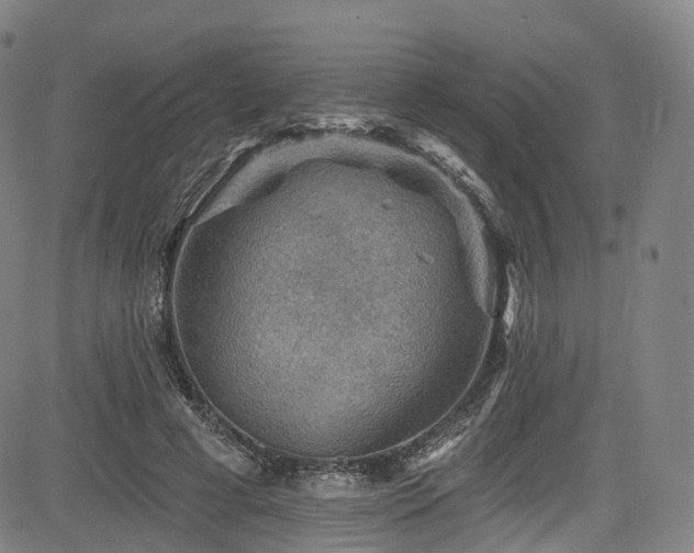 X0000085260593200703091326