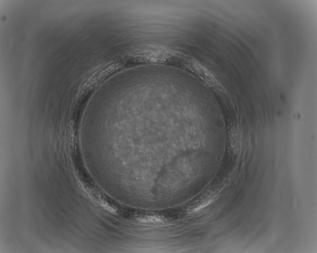 X0000085260594200703091326