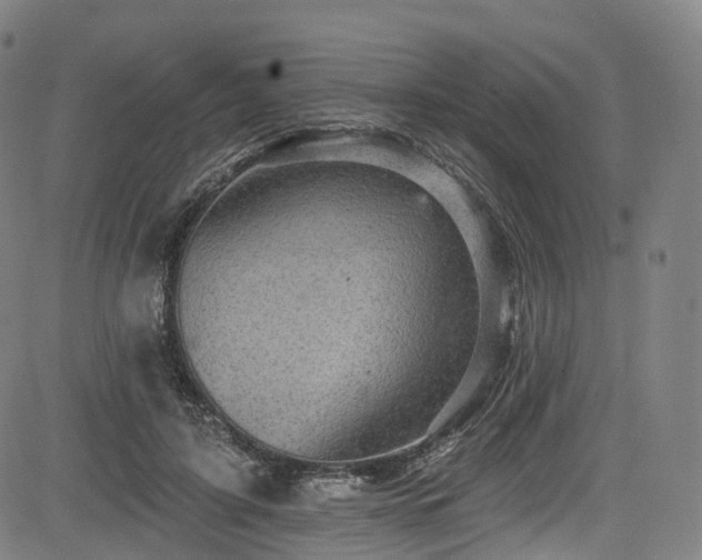 X0000085260595200703091326