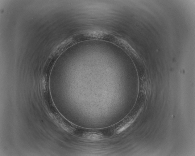 X0000085260597200703091326