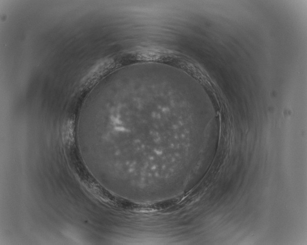 X0000085260598200703091326