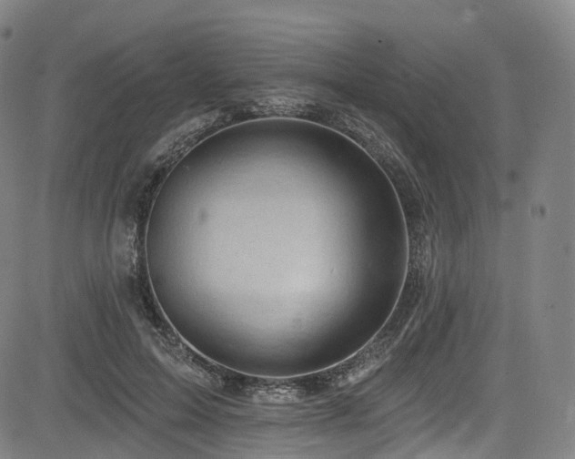 X0000085260599200703091325