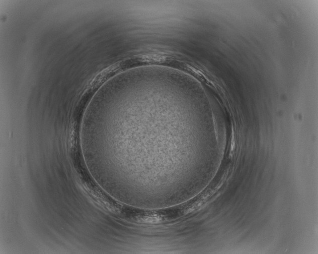 X0000085260600200703091325