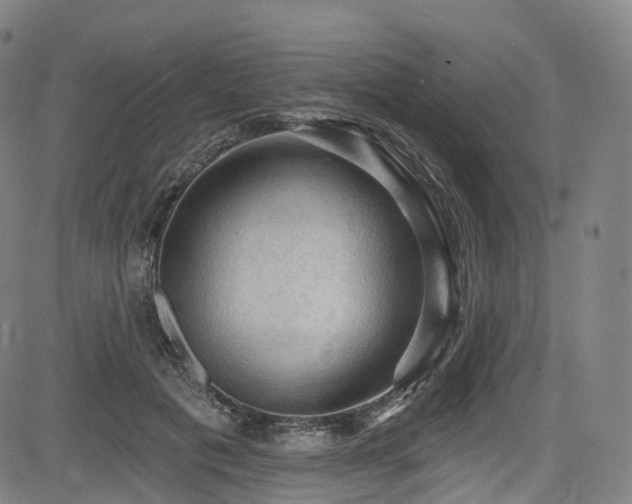 X0000085260601200703091325