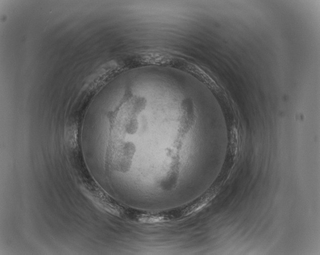 X0000085260602200703091325