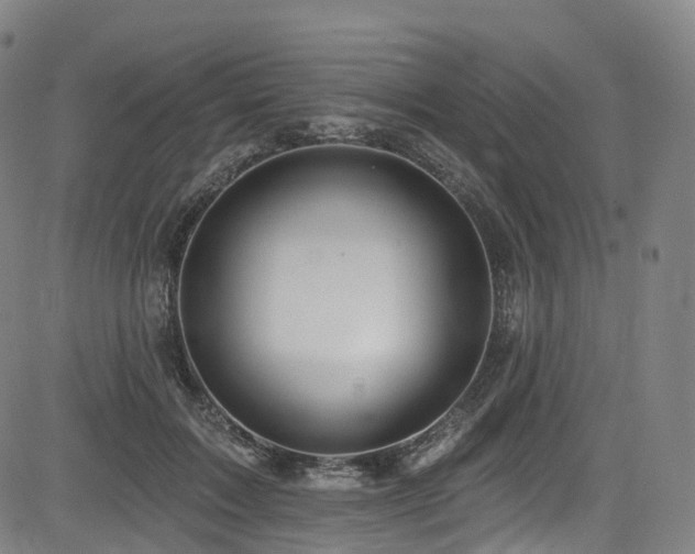 X0000085260603200703091325