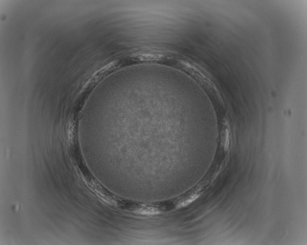 X0000085260604200703091325