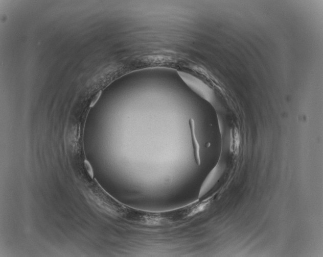 X0000085260605200703091325