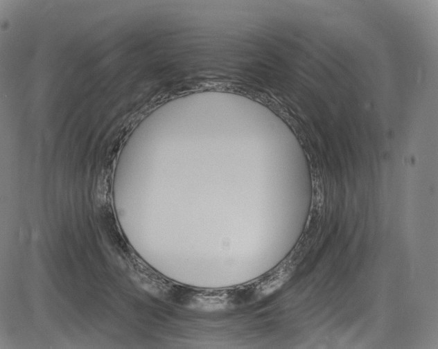 X0000085260606200703091325