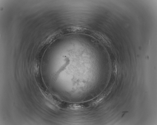 X0000085260607200703091325