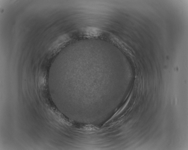 X0000085260608200703091325