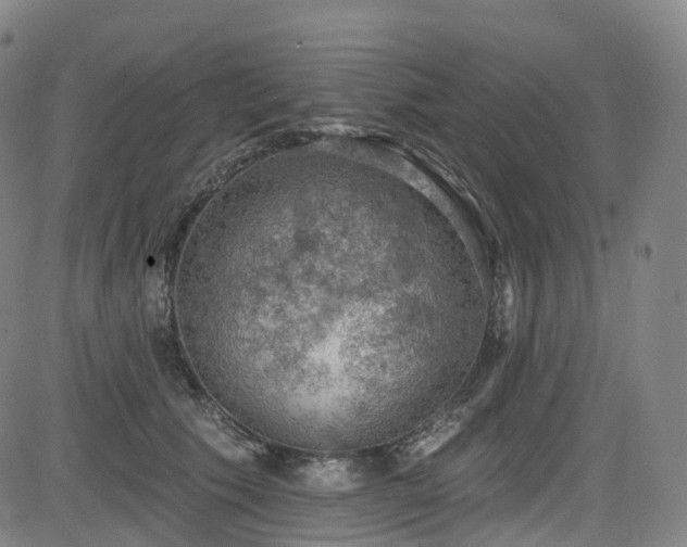 X0000085260609200703091325