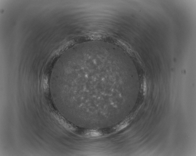 X0000085260610200703091325