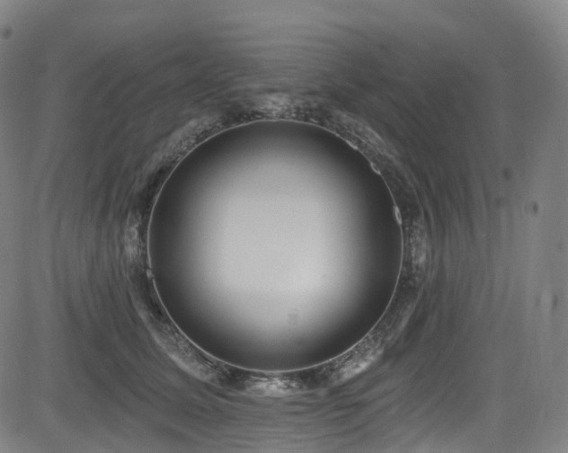 X0000085260611200703091325