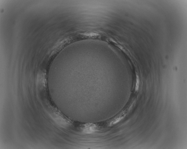 X0000085260612200703091325